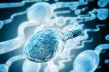 河北省计划生育科学技术研究院做三代试管成功率如何？一文读懂需要花多少钱