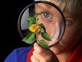 什么原因导致女性出现了停经的现象？导致女性停经的原因有哪些？女性停经后还能做试管婴儿吗？