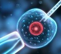 莱州治不孕不育（莱州不孕不育哪个医院好）