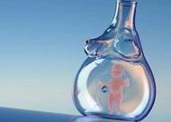 排卵后多久同房容易怀孕？